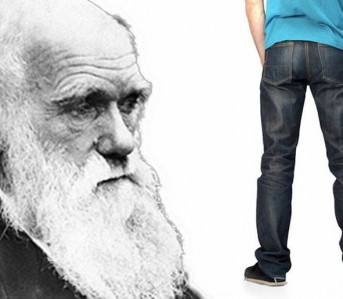Darwin looking at rear of jeans