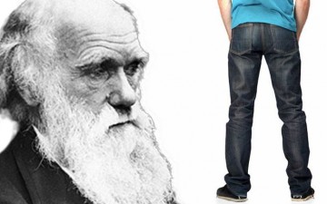 Darwin looking at rear of jeans