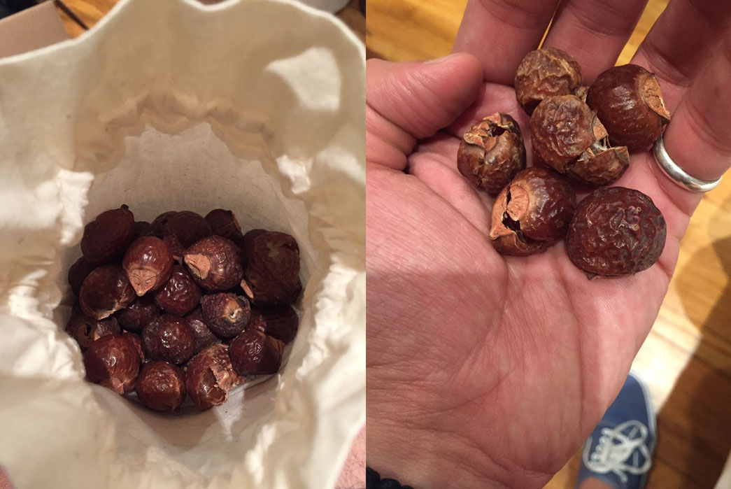 soap nuts in hand