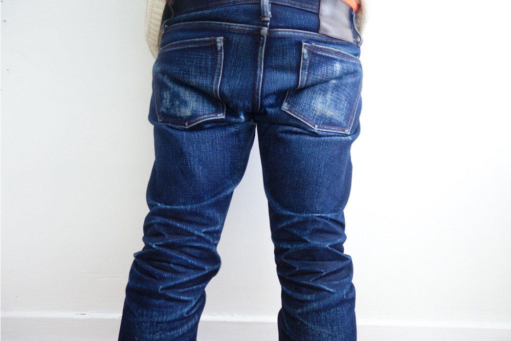 Fade-of-the-Day---Unbranded-UB121-(16-Months,-0-Washes)-model-back