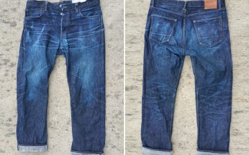 Fade-of-the-Day---Rogue-Territory-Strider-(15-Months,-1-Wash,-3-Soaks)-front-back