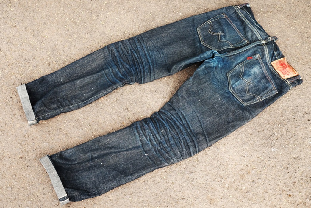 Fade-of-the-Day---Carnivores-Soul-Tigris-(6-Months,-0-Washes)-back