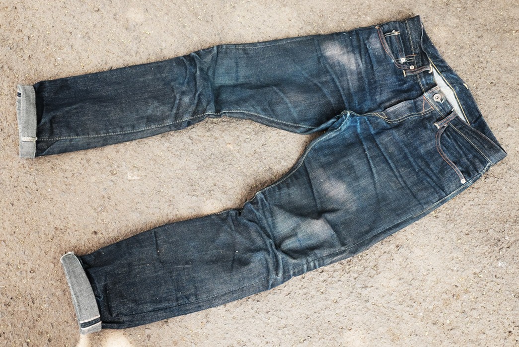 Fade-of-the-Day---Carnivores-Soul-Tigris-(6-Months,-0-Washes)-front