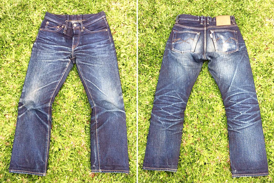 Fade-of-the-Day---Sage-Ironhorn-(1-Year,-3-Washes,-1-Soak)-front-back