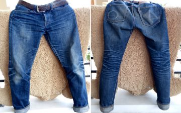 Fade-of-the-Day---Elhaus-Iron-Tail-(2-Years,-3-Washes,-2-Soaks)-front-back