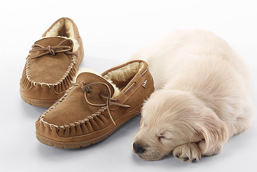 All-About-Shearling---Wool-and-Leather,-Together-Forever-moccasins-and-puppy