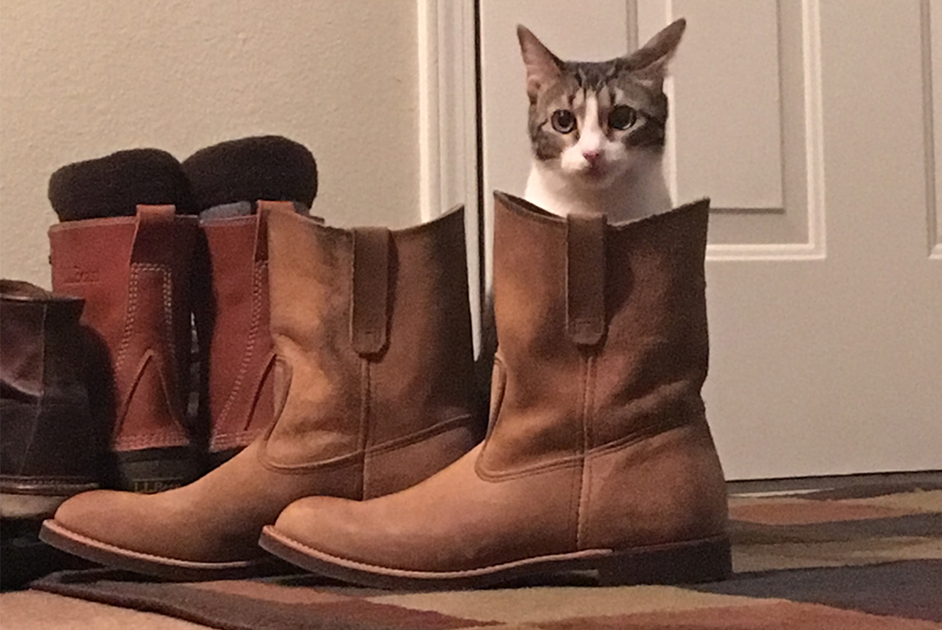 Fade-of-the-Day---Red-Wing-8188-Pecos-(15-Months)-pair-side-cat