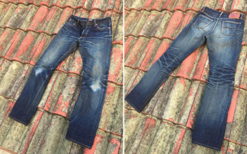 Fade-of-the-Day---Oldblue-8.25-(13-Months,-0-Washes,-Unknown-Soaks)-front-back