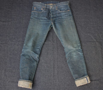 Fade-of-the-Day---Oni-676ZR-(7-Months,-1-Wash)-front
