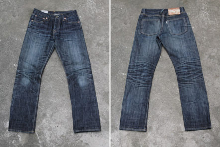 Fade-of-the-Day---Elhaus-Thunderbird-(7-Months,-3-Washes,-1-Soak)-front-back
