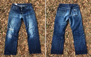 Fade-of-the-Day---Roy-Peanuts-(16-Months,-4-Washes,-2-Soaks)-front-back