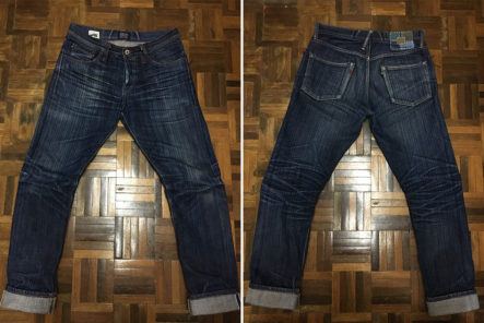 Fade-of-the-Day---NBDN-Basilisk-Rain-Fall-(8-Months,-2-Washes,-1-Soak)-front-back