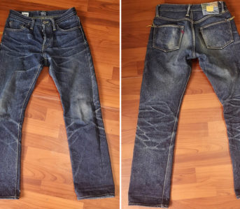 Fade-of-the-Day---NBDN-Golden-Leviathan-(7-Months,-2-Washes,-1-Soak)-front-and-back