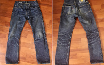 Fade-of-the-Day---NBDN-Golden-Leviathan-(7-Months,-2-Washes,-1-Soak)-front-and-back