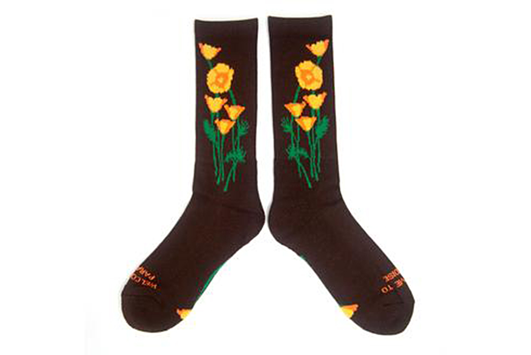 The-Ampal-Creative---A-Brand-Head-and-Shoulders-Above-The-Rest-TAC's-Poppy-Socks