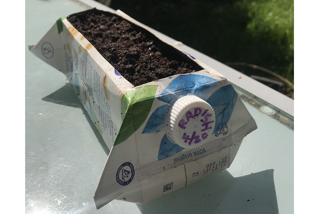 Home-Grows-Growing-New-Life-From-Your-Throwaways-A-leftover-carton-turned-into-a-radish-planter