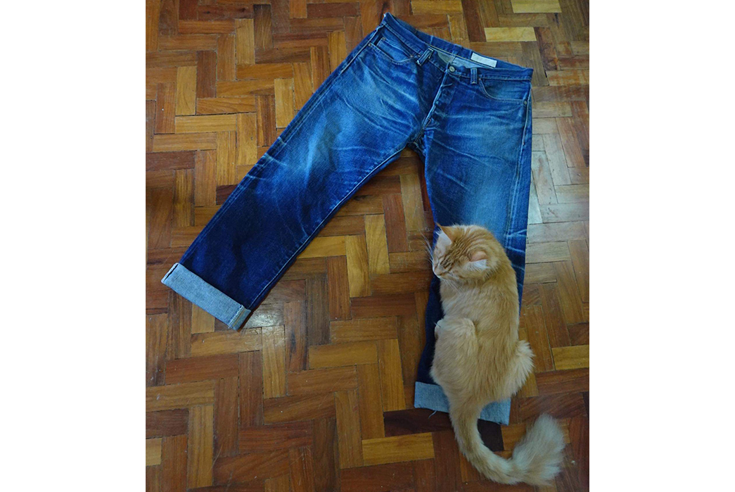 Fade-Friday---Boncoura-XX-47-Jeans-(1-Year,-5-Washes,-1-Soak)-with-cat