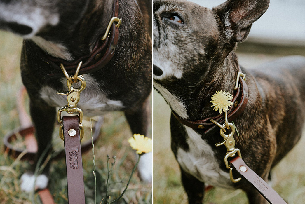 Tanner-Goods-Has-a-New-Lead-For-Your-Patina-Pups-with-dog-buckle