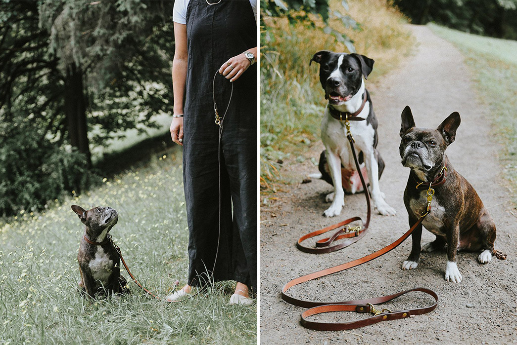 Tanner-Goods-Has-a-New-Lead-For-Your-Patina-Pups-with-two-dogs