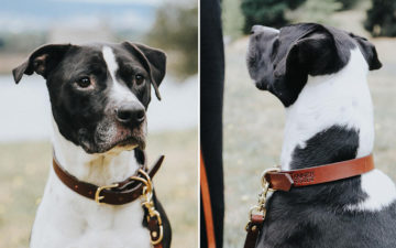 Tanner-Goods-Stocks-Up-On-Its-Classic-Canine-Collars