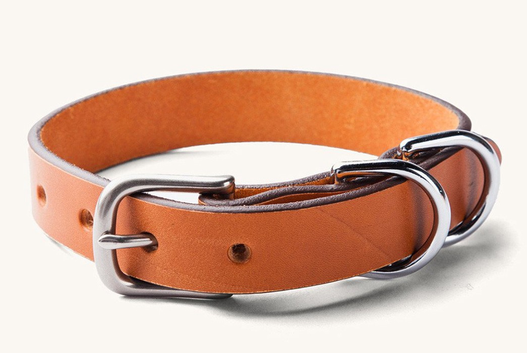 Tanner-Goods-Stocks-Up-On-Its-Classic-Canine-Collars-orange
