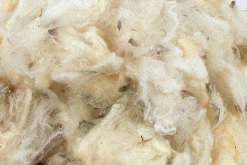 From-Sherpa-To-Slub-The-Types-Of-Fleece-To-Know-Image-Via-Romney-Marsh-Wools