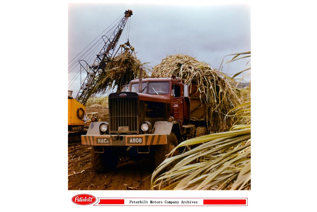 The-Plaid-Island---All-About-Palaka-Check-After-World-War-II,-technology-continued-to-mold-the-islands-as-trucks-became-the-preferred-way-to-move-sugar-cane-from-field-to-mill