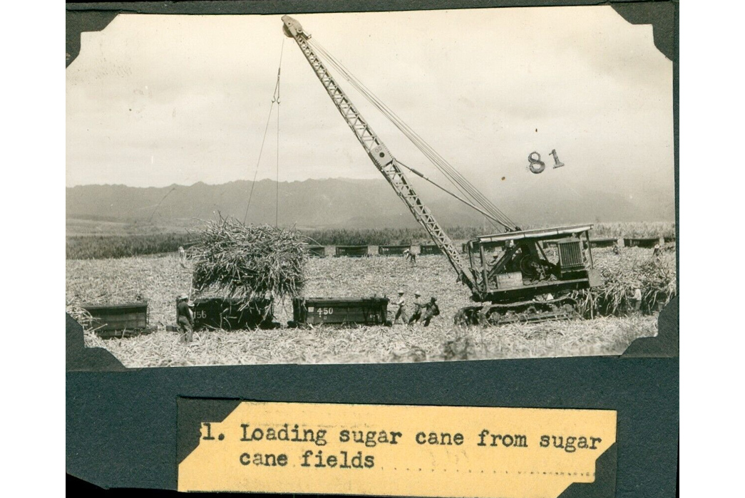 The-Plaid-Island---All-About-Palaka-Check-Cut-Hawaiian-sugar-cane-is-being-loaded-into-railcars-in-this-1940s-photo.-Image-via-montanagifts2-eBay.