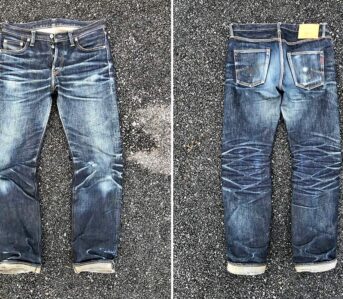 Fade-Friday---IH666S-21-(11-Months,-1-Wash)-Front-and-back