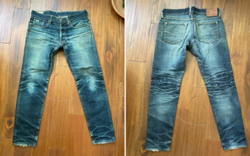 Fade-Friday---Studio-D'Artisan-SD-507-(6-Years,-5-Washes)-front-and-back