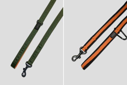 Porter-Yoshida-&-Co.-Made-Dog-Leashes-green-and-orange